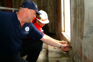 Structural Wood Damage Inspection